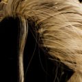 Real-Time Hair