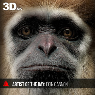 Artist of the day: Eoin Cannon